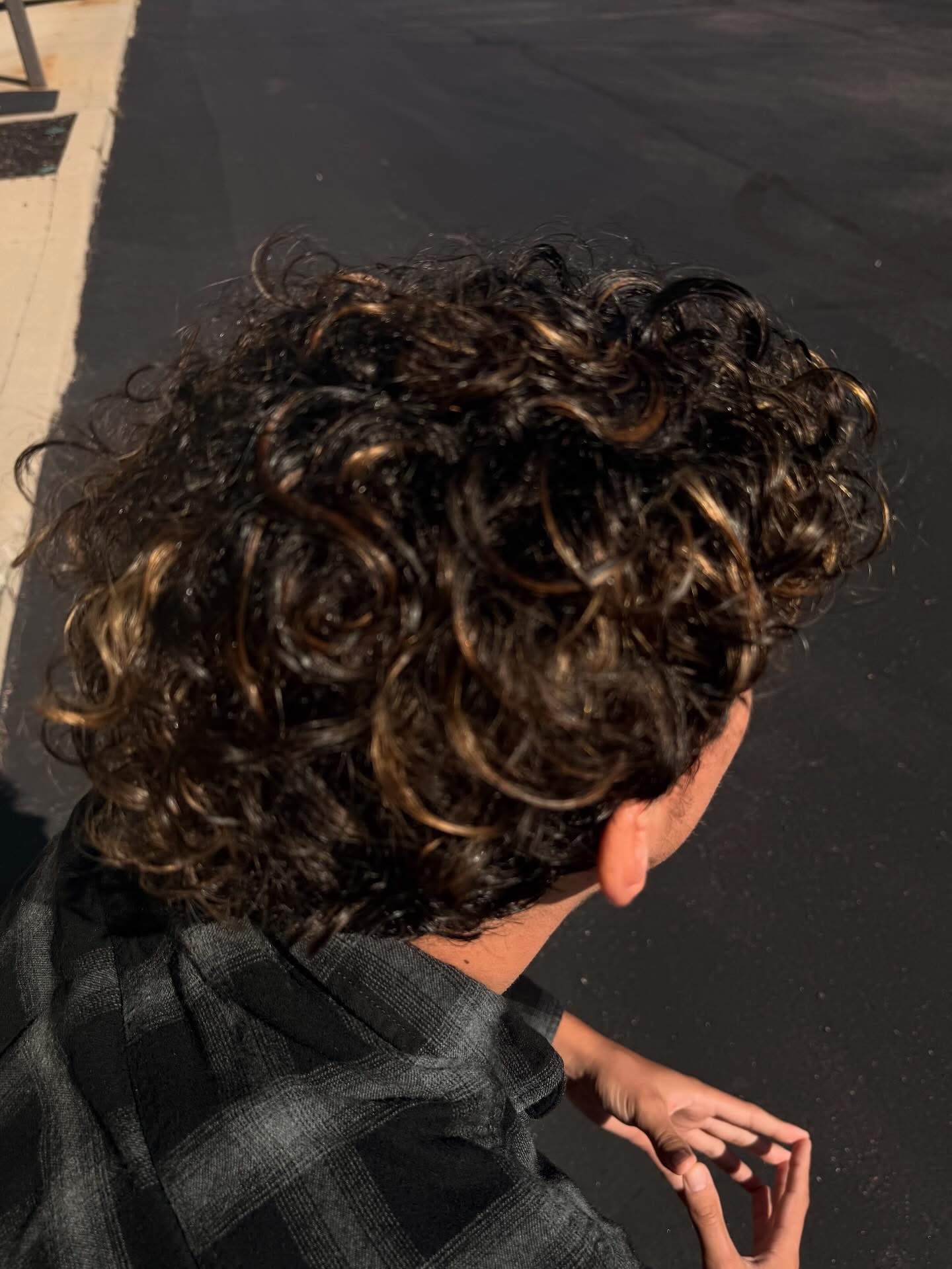Defined highlighted curls